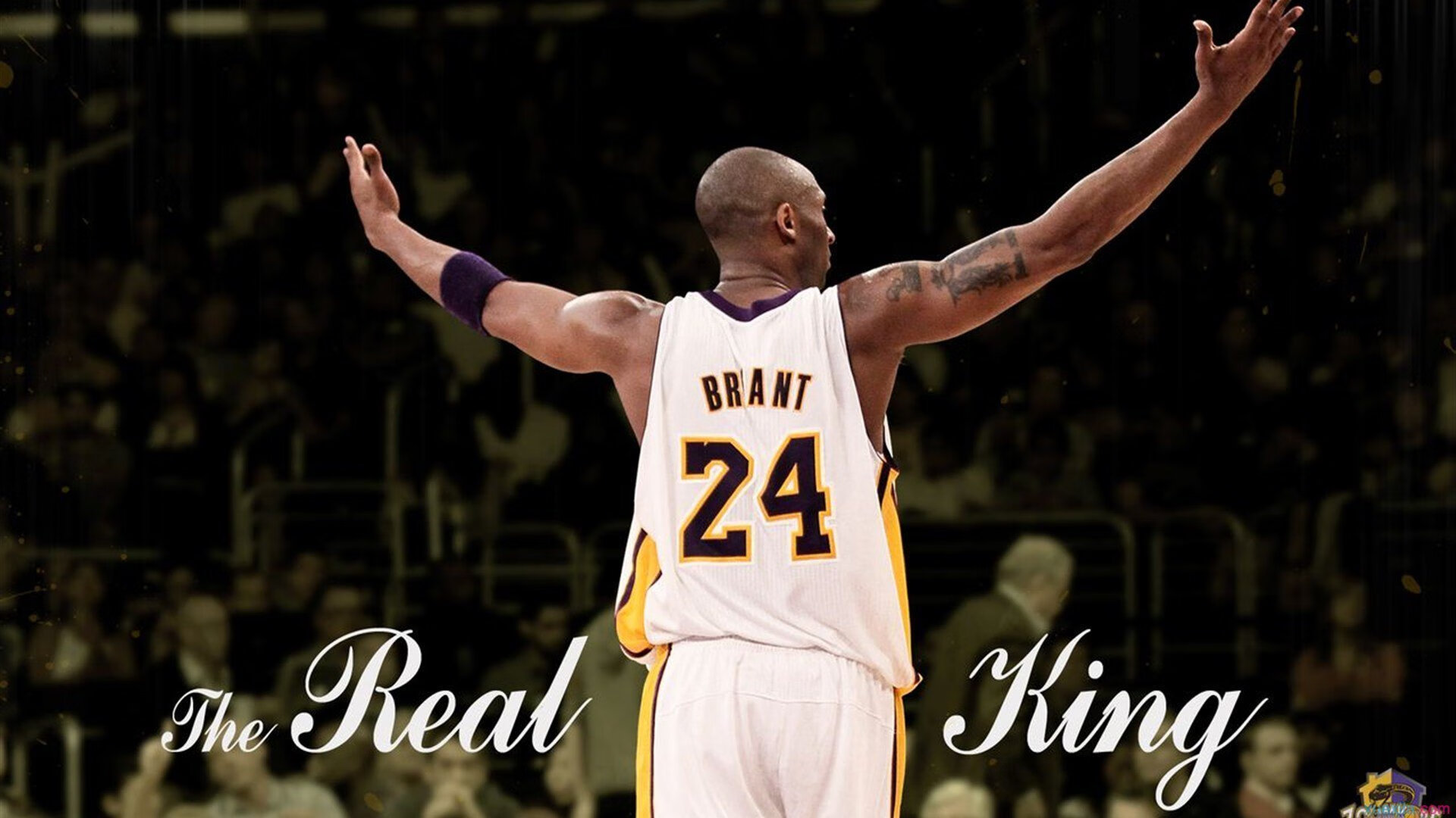 “帕布罗·马特拉：阿根廷美洲狮队的铁血战士，未来更加耀眼”