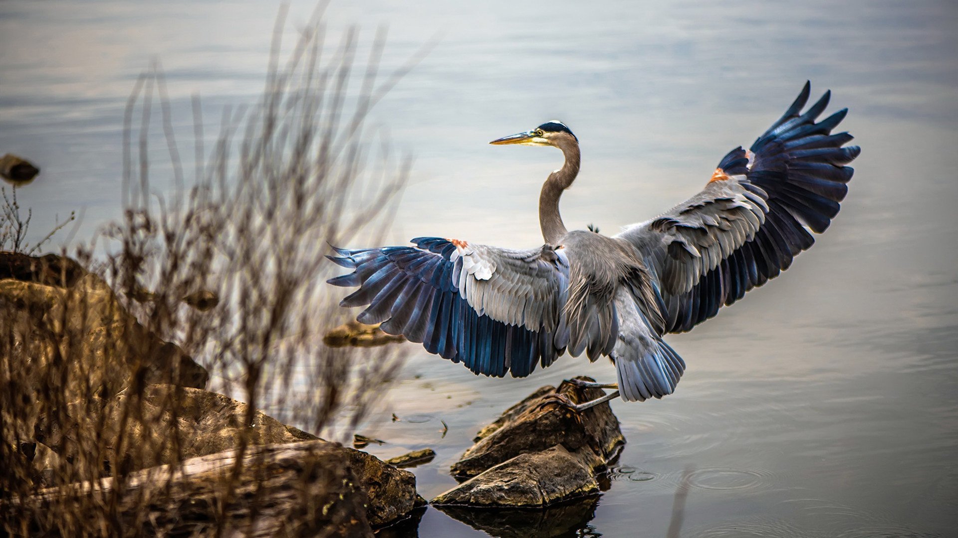 传奇车手迈克尔的巅峰记忆，迈克尔传奇英文